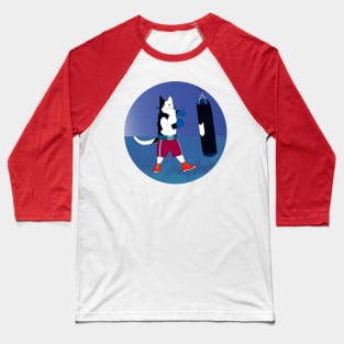 Cat Baseball T-Shirt